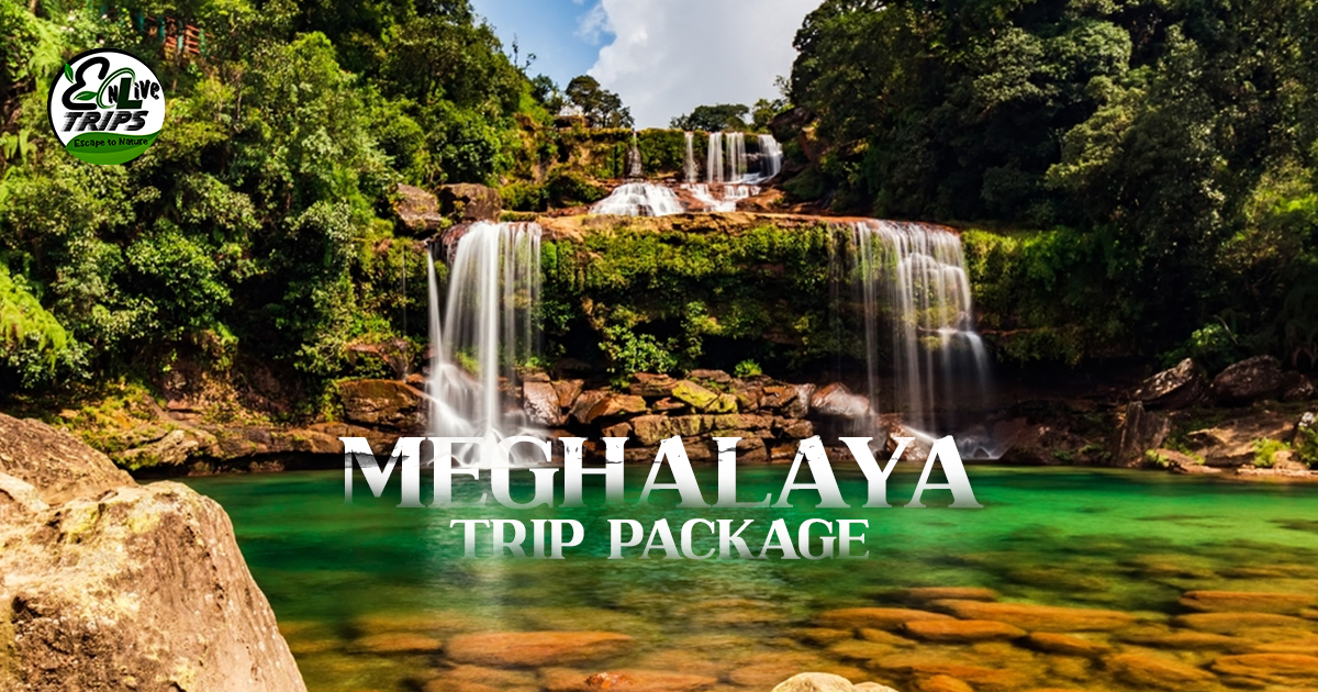 Meghalaya tour
